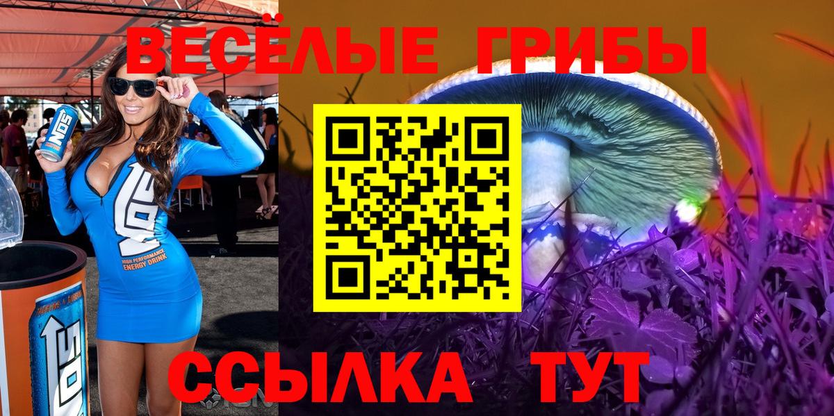 Берёзовский  Псилоцибиновые грибы прущие грибы  Псилоцибиновые грибы Psilocybe  Вход с VPN 