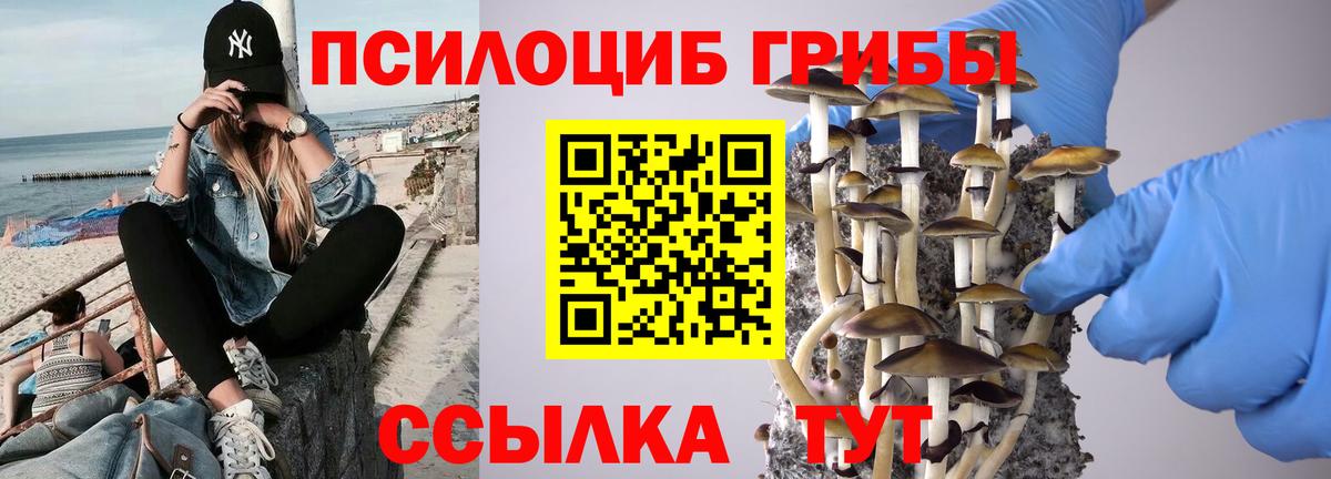 Псилоцибиновые грибы ЛСД Берёзовский