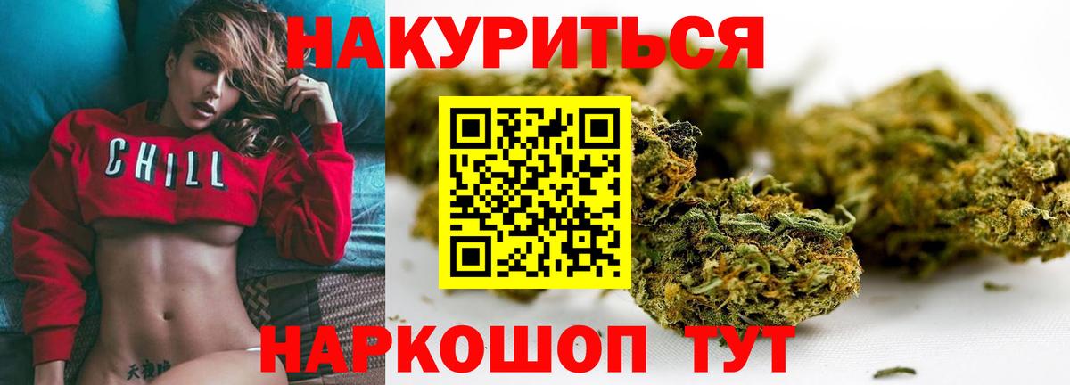 Каннабис OG Kush Берёзовский